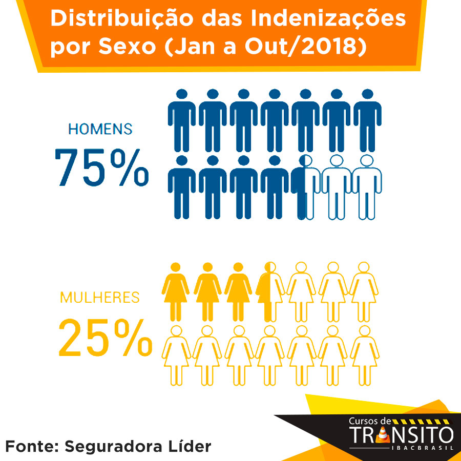 Estatísticas: Mulheres e Trânsito